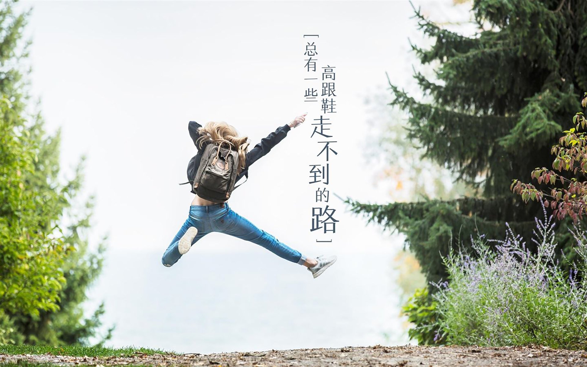 球队战术分析：哪些阵容能突破季后赛难关？，季后赛参赛队伍
