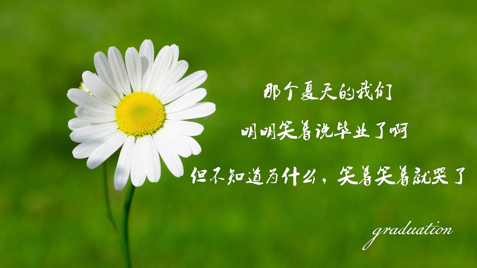 青训投入回报：一线队新血液带来强大动力，青训人员