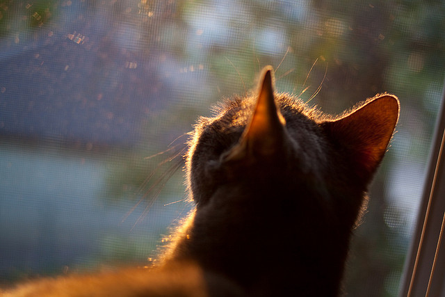 高质量青训基地在全国布局，青少年成长路径逐步清晰，青训 高质量的训练 什么意思