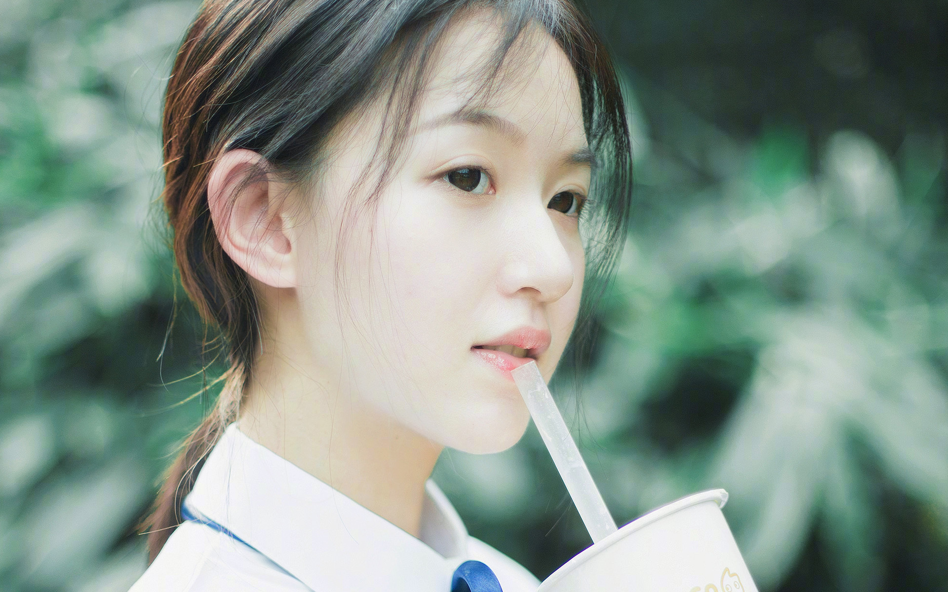 NBA全明星赛球迷投票开启,nba全明星赛投票在哪里投