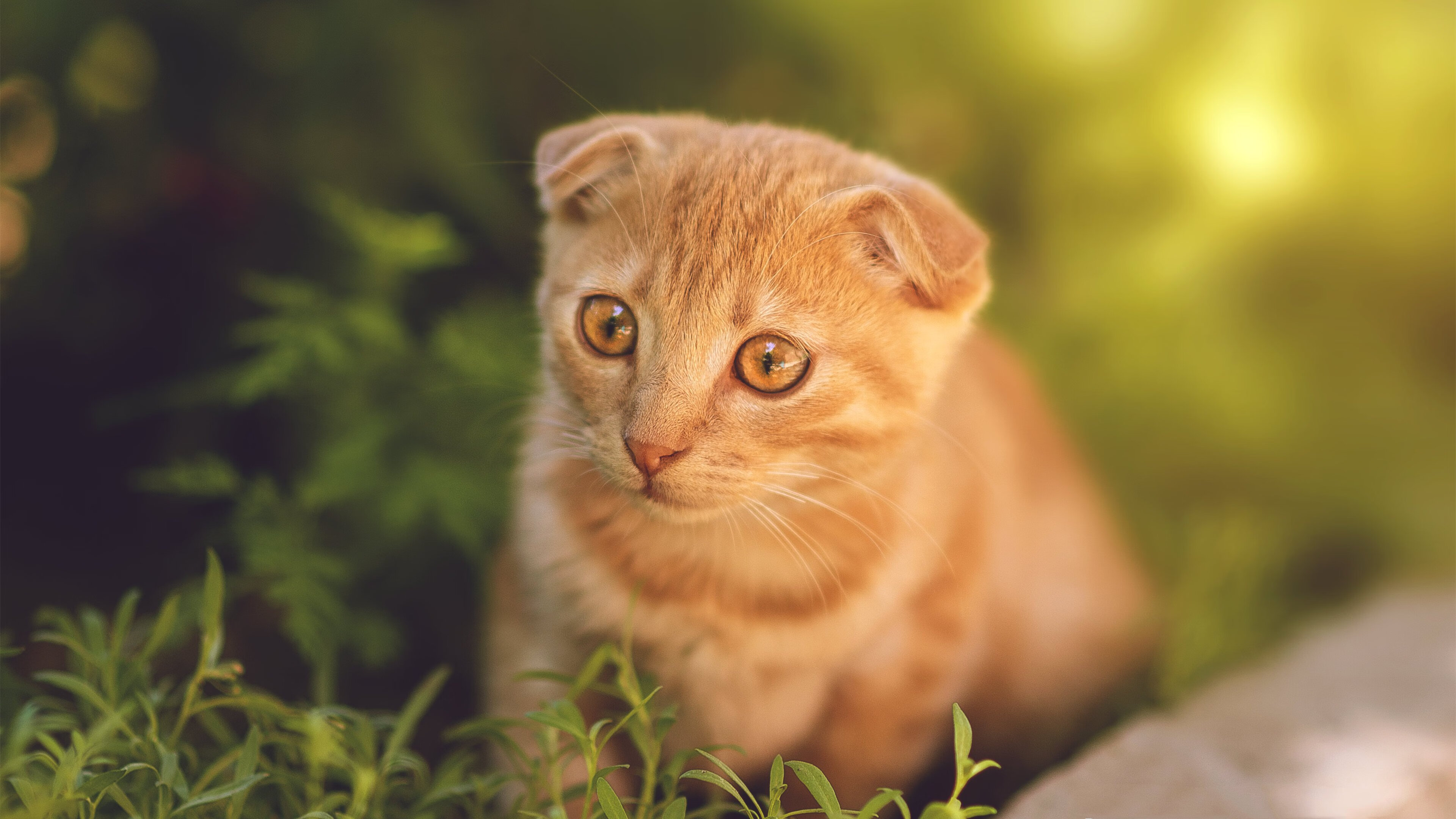 中国男篮分析比赛录像 精准修正战术漏洞，中国男篮蓝队录像回放