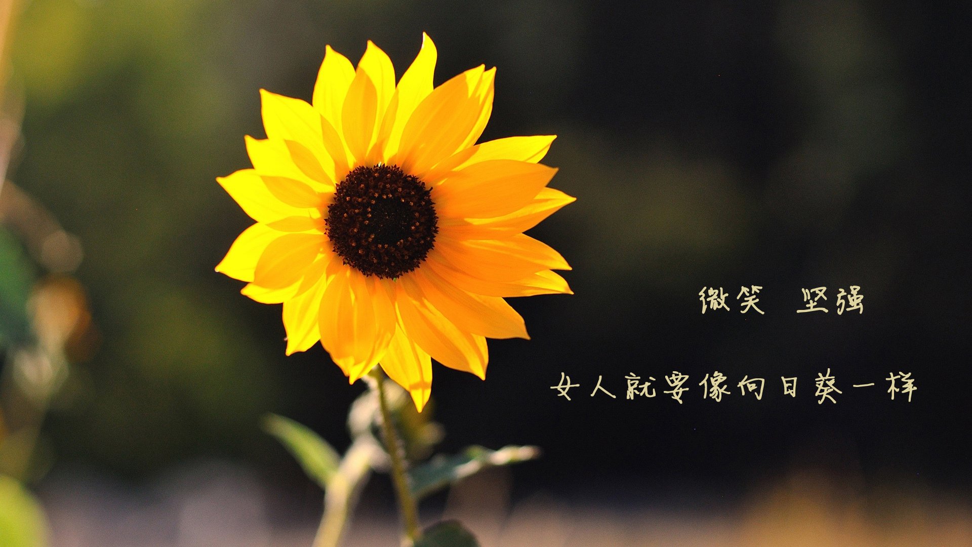 中国短跑队赛前封闭集训重视心理调适