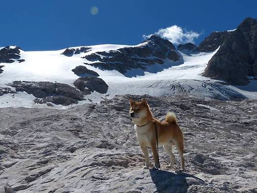 九游app官网下载-主力射手状态起伏是否影响整队进攻体系协作，射手打球是什么位置