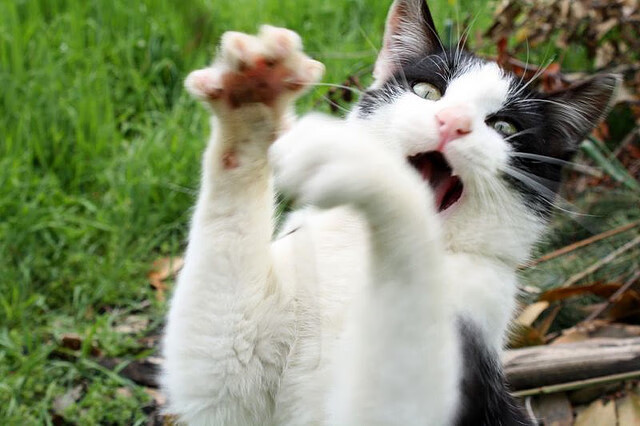 JIU YOU GAME-新赛制改变比赛节奏，乒乓球赛事进入新纪元，乒乓球全新赛制