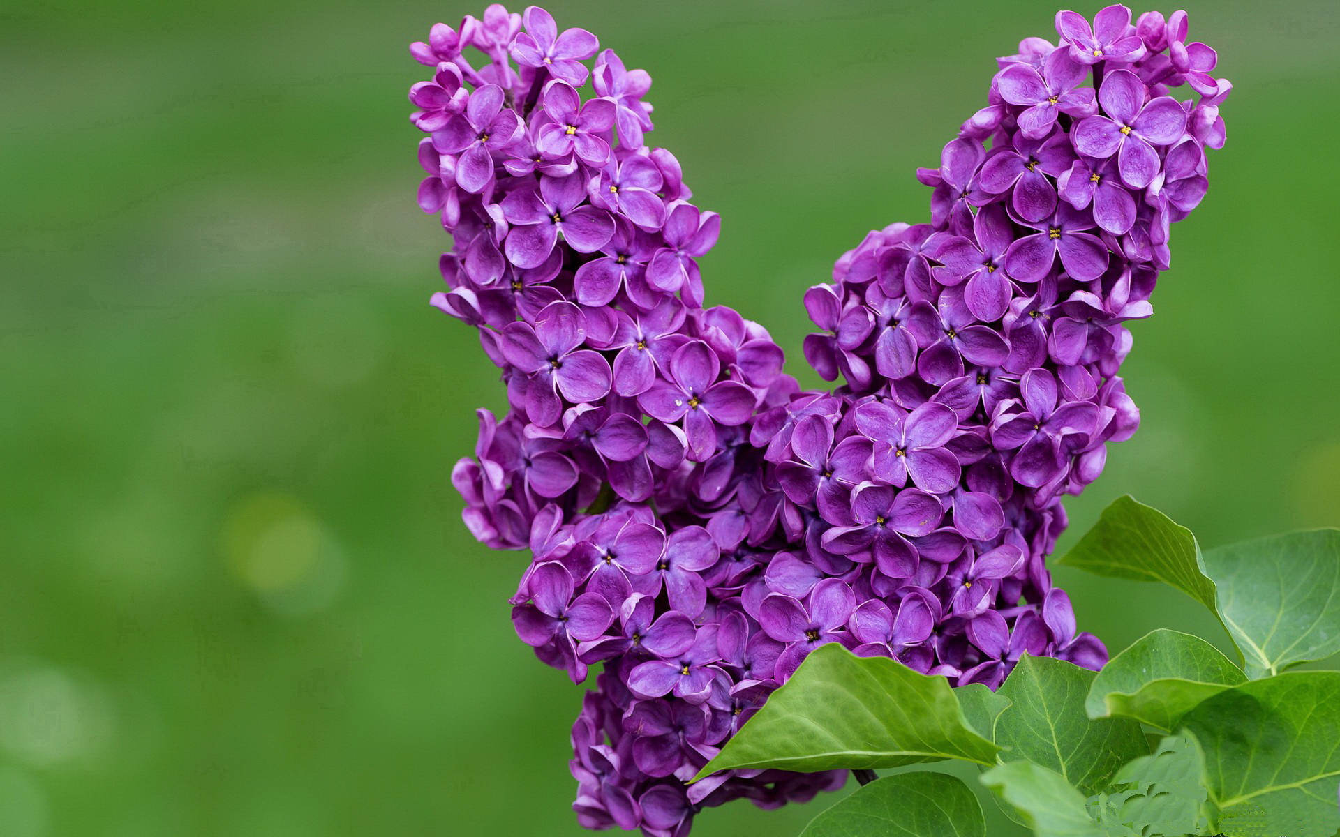 直播技术突破提升赛事观赏性，直播技术怎么实现