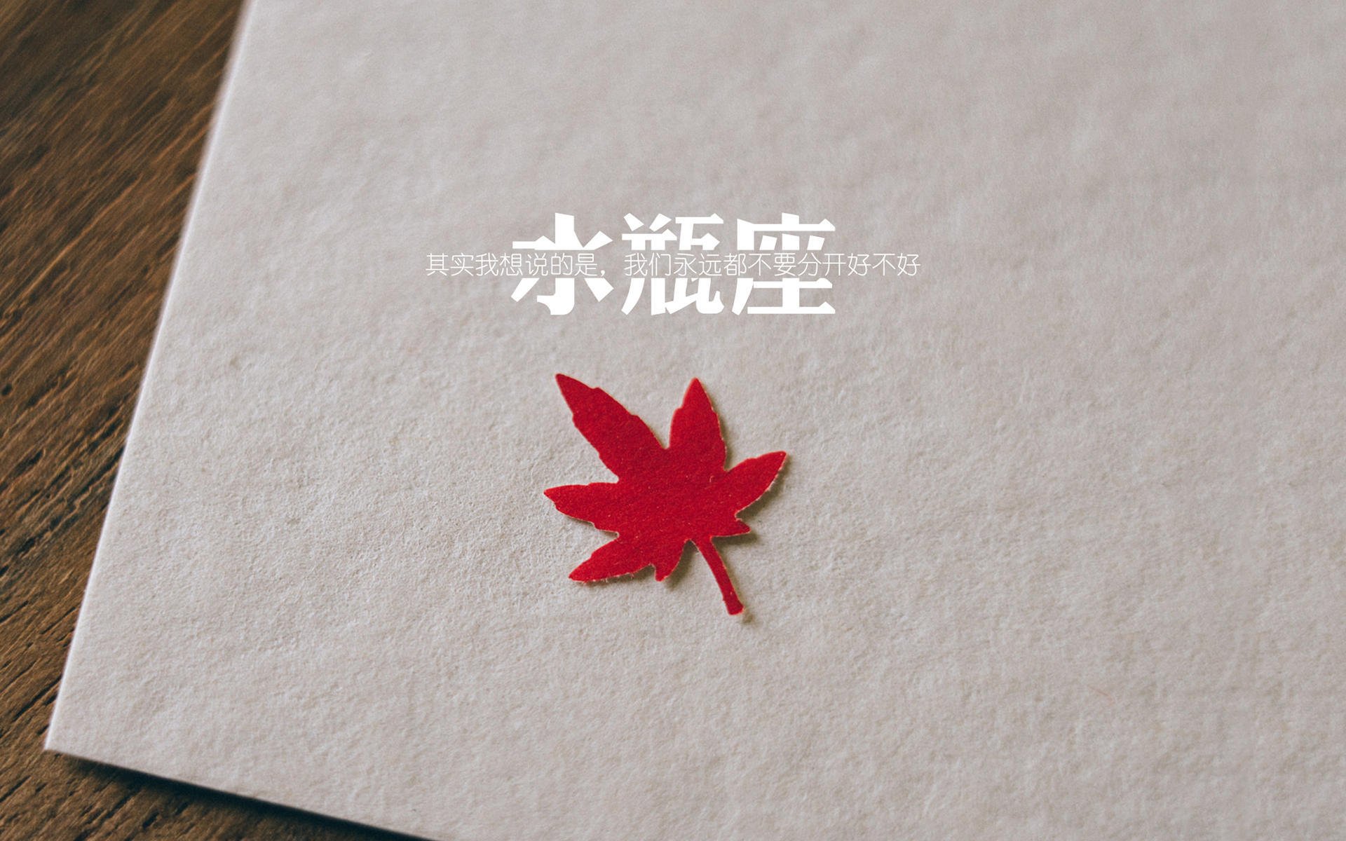 马拉松赛事设置人脸识别签到通道提升效率，上海马拉松人脸识别