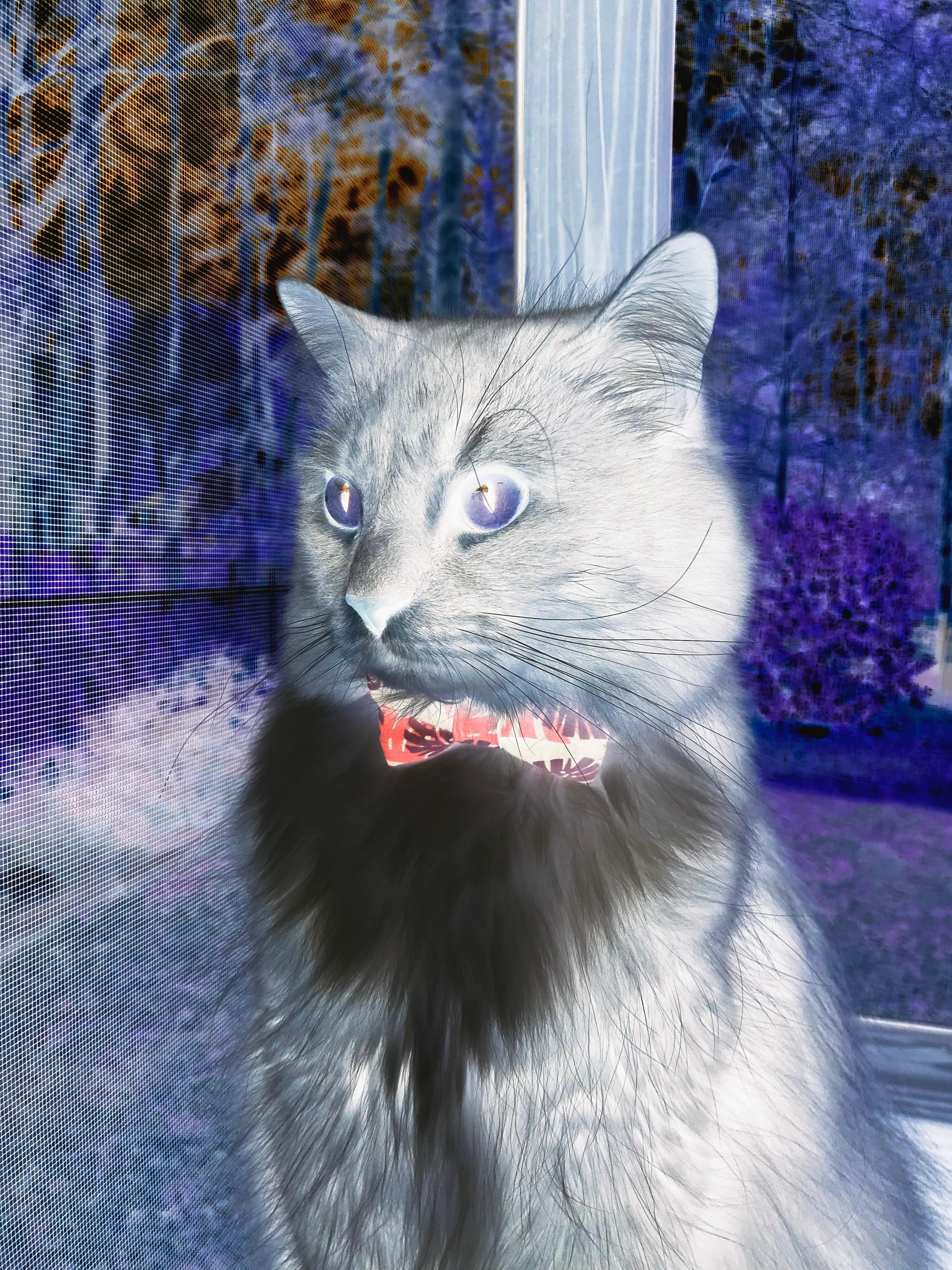 中国足球职业俱乐部裁判员选拔和培训机制不断完善，足球协会裁判