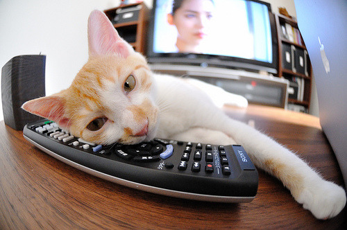 网球青少年赛冠军产生，网球青少年赛冠军产生多少奖金