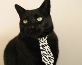 荷兰队在欧洲预赛中持续高歌猛进，晋级希望乐观