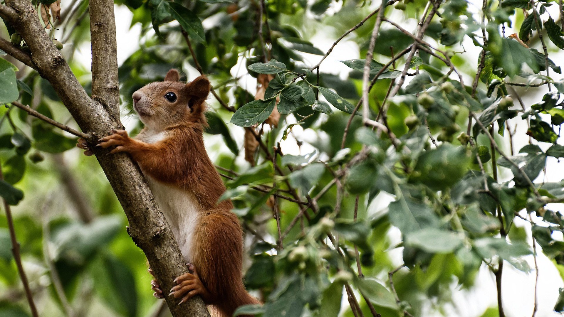 跳水配合默契吉尔吉斯斯坦表现突出，吉尔吉斯斯坦女子