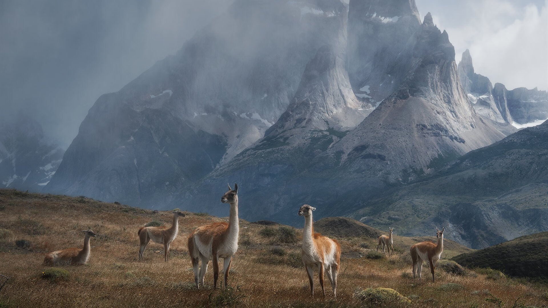 九游网游官网-青训营组织模拟采访训练培养球员表达与媒体沟通，采访运动员训练的问题