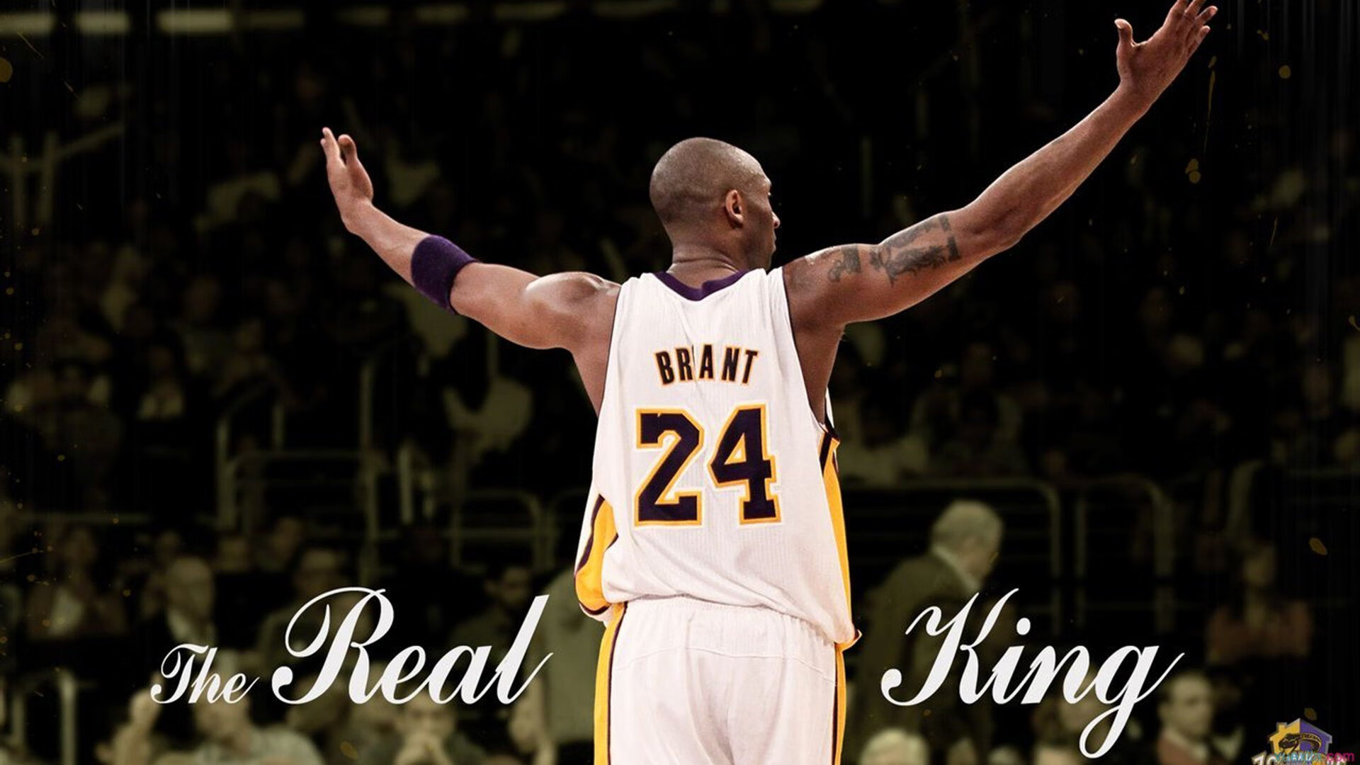 近期焦点：那些“悄然崛起”的潜力强队，悄悄崛起的词语